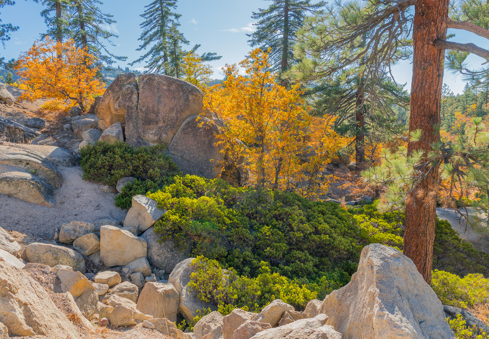 Arrowbear Lake
