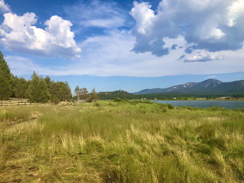 Recreation Cabin Government Lease